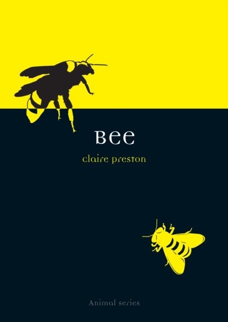 BEE | 9781861892560 | CLAIRE PRESTON