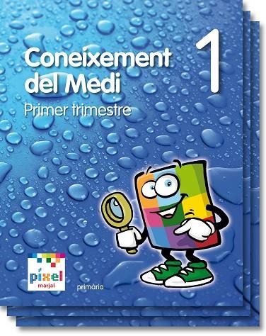 CONEIXEMENT DEL MEDI EP1 PIXEL (VAL) LIBRO ALUMNO | 9788483481707 | EDEBÉ, OBRA COLECTIVA