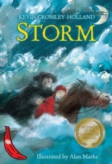 STORM | 9780749746988