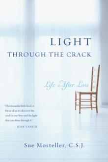 LIGHT THROUGH THE CRACK | 9780385516679 | SUE MOSTELLER