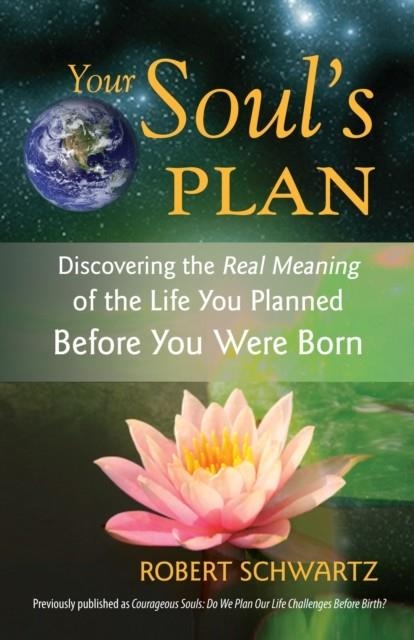 YOUR SOUL'S PLAN | 9781583942727 | ROBERT SCHWARTZ