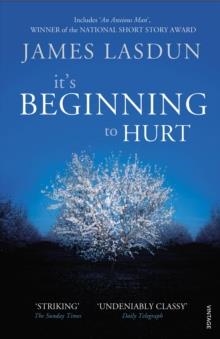 IT'S BEGINNING TO HURT | 9780099512325 | JAMES LASDUN