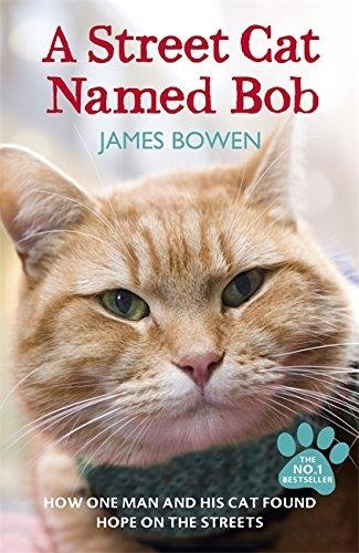 STREET CAT NAMED BOB | 9781444737110 | JAMES BOWEN