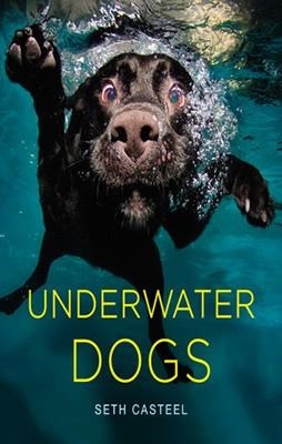 UNDERWATER DOGS | 9780316227704