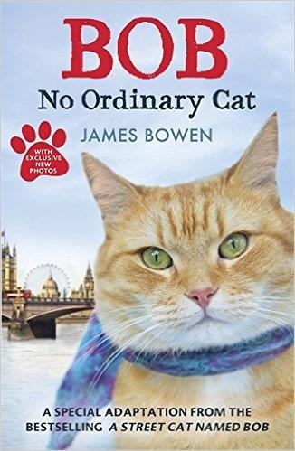 BOB: NO ORDINARY CAT | 9781444764901 | JAMES BOWEN