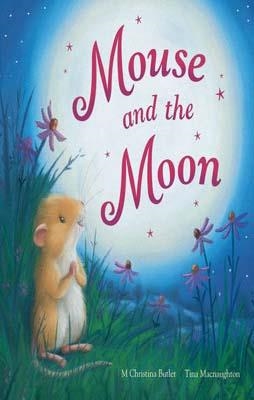 MOUSE AND THE MOON | 9781848953093 | CHRISTINA M BUTLER