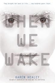 WHEN WE TAKE | 9780316200776 | KAREN HEALEY