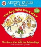 AESOP'S FABLES: THE BOY WHO CRIED WOLF | 9781841359571 | ANNA AWARD