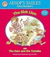 AESOP'S FABLES: THE HARE AND THE TORTOISE | 9781841359540 | ANNA AWARD