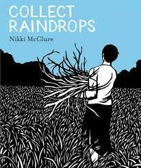 COLLECT RAINDROPS | 9781419711671 | NIKKI MCCLURE