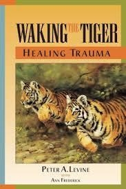 WAKING THE TIGER | 9781556432330 | PETER LEVINE