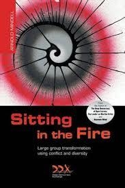 SITTING IN THE FIRE: LARGE GROUP TRANSFORMATION | 9781619710245 | ARNOLD MINDELL