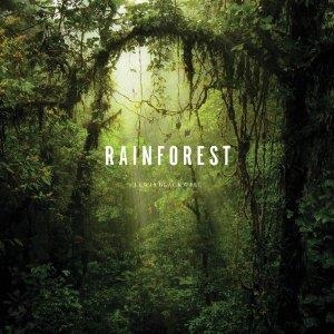 RAINFOREST | 9781419713972 | LEWIS BLACKWELL