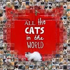 ALL THE CATS IN THE WORLD | 9781742707976 | JESSE HUNTER