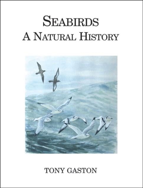 POYSER MONOGRAPHS: SEABIRDS | 9780713665574 | GASTON, T