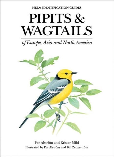 PIPITS AND WAGTAILS OF EUROPE, ASIA AND | 9780713658347