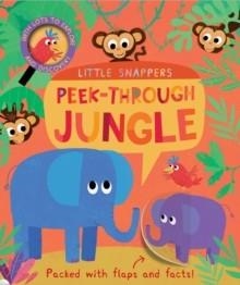 IN THE JUNGLE | 9781848574496 | KASIA NOWOWIEJSKA