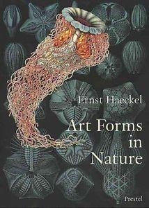 ART FORMS IN NATURE | 9783791319902 | OLAF BREIDBACH