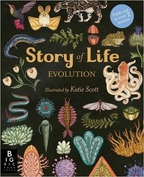 EVOLUTION: STORY OF LIFE | 9781783702725 | KATIE SCOTT