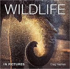 WILDLIFE IN PICTURES | 9781921517624 | CRAIG HAYMAN