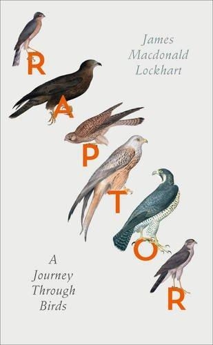 RAPTOR: A JOURNEY THROUGH BIRDS | 9780007459872 | JAMES MCDONALD LOCKHART