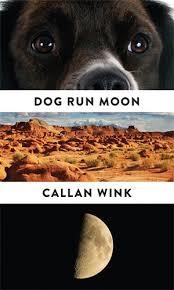 DOG RUN MOON: STORIES | 9781847088147 | CALLAN WINK