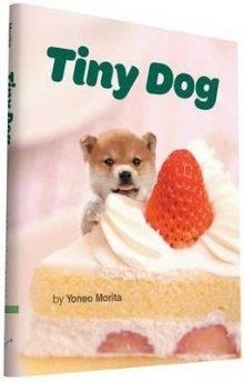 TINY DOG | 9781452149745 | PHOTOGRAPHS BY YONEO MORITA