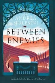 BETWEEN ENEMIES | 9780857897978 | ANDREA MOLESINI