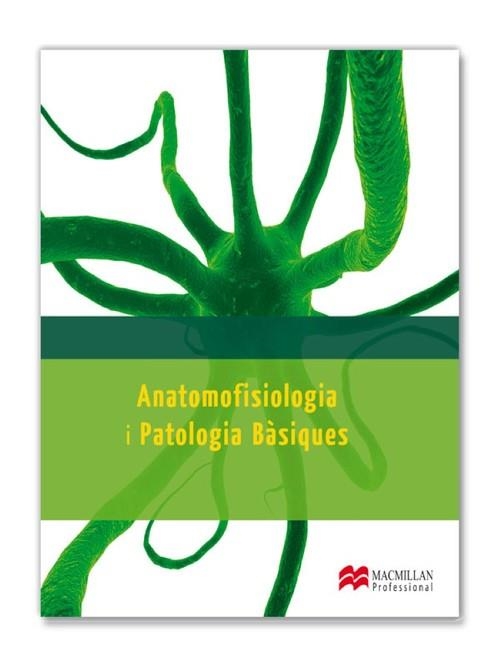 APB-ANATOMOFISIOLOGIA CAT | 9788415656685 | GALINDO CARRIóN, CARLOS/ROMO SáNCHEZ, CONCEPCIóN/HEREDIA, MANUELA/GARCíA, AGUSTíN/CARDELúS, REGINA