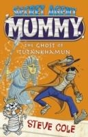 SECRET AGENT MUMMY: THE GHOST OF | 9781849418720