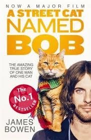 STREET CAT NAMED BOB, A | 9781473633360 | JAMES BOWEN