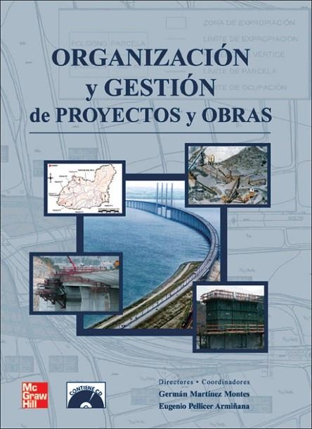 ORGANIZACION GEST PROY OB | 9788448156411 | Martínez,Germán;Pellicer,Eugenio