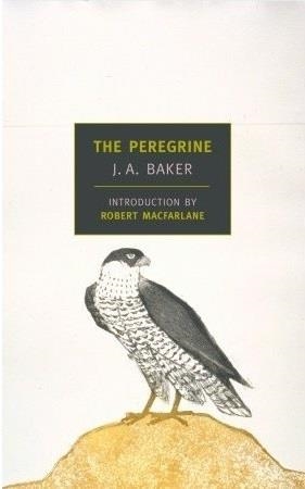 PEREGRINE, THE | 9781590171332 | J A BAKER