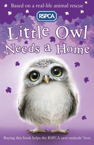 LITTLE OWL NEEDS A HOME | 9781407135359 | SUE MONGREDIEN