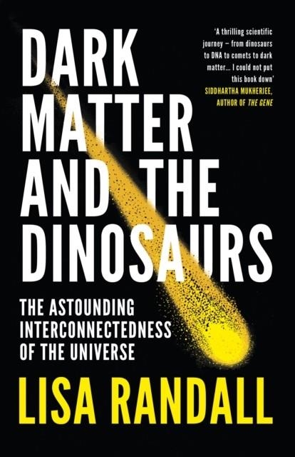 DARK MATTER AND THE DINOSAURS | 9780099593560 | LISA RANDALL