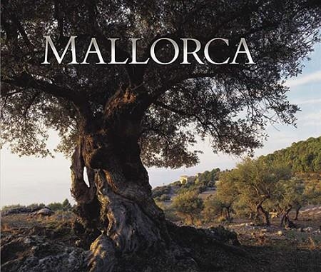 MALLORCA (INGLES Y ALEMAN) | 9788484784340 | Austen, Neil;Liz Rodríguez, Josep