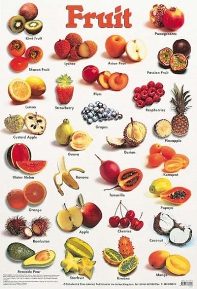 FRUIT | 9780721755229 | SCHOFIELD