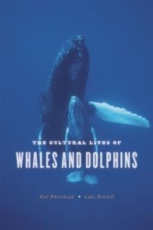 CULTURAL LIVES OF WHALES AND DOLPHINS, THE | 9780226325927 | HAL WHITEHEAD