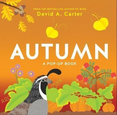 AUTUMN A POP UP BOOK | 9781419725357 | DAVID CARTER