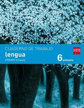 6º EP CUADERNO LENGUA 1º TRIMESTRE PAUTA SAVIA-15 | 9788467578546 | ECHEVARRÍA, ESTHER