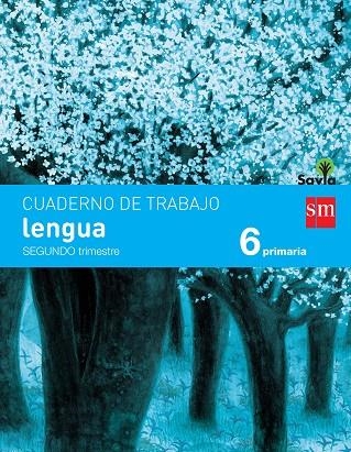 6º EP CUADERNO LENGUA 2º TRIMESTRE PAUTA SAVIA-15 | 9788467578553 | ECHEVARRÍA, ESTHER