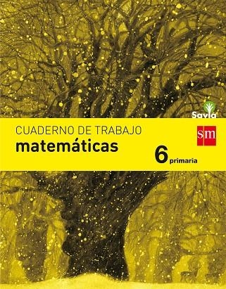 6º EP CUADERNO LENGUA SAVIA-17 | 9788467593143 | FERNÁNDEZ GARCÍA, CÉSAR/GARCÍA SIMAVILLA, MARÍA JOSÉ/VILLAVERDE ALOMAR, JORDI