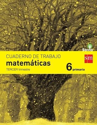 6º EP CUADERNO MATEMÁTICAS 3º TRIMESTRE SAVIA-15 | 9788467578591 | FERNÁNDEZ GARCÍA, CÉSAR/GARCÍA PORRAS, JOSÉ MARÍA