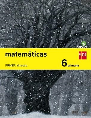 6º EP MATEMÁTICAS TRIMESTRAL SAVIA-15 | 9788467575675 | GONZÁLEZ SÁNCHEZ, YOLANDA/GARÍN MUÑOZ, MERCEDES/NIETO, MIGUEL/RAMÍREZ UCLÉS, RAFAEL/BERNABEU RUIZ, J