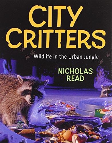 CITY CRITTERS | 9781554693948 | NICHOLAS READ