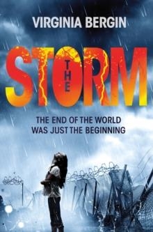 THE STORM | 9781447266105 | VIRGINIA BERGIN