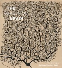 BEAUTIFUL BRAIN: THE DRAWING OF RAMON Y CAJAL | 9781419722271 | LARRY SWANSON