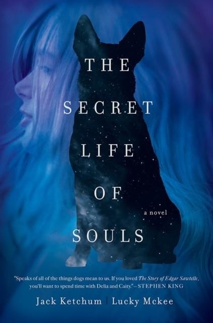 THE SECRET LIFE OF SOULS | 9781681775449 | JACK KETCHUM