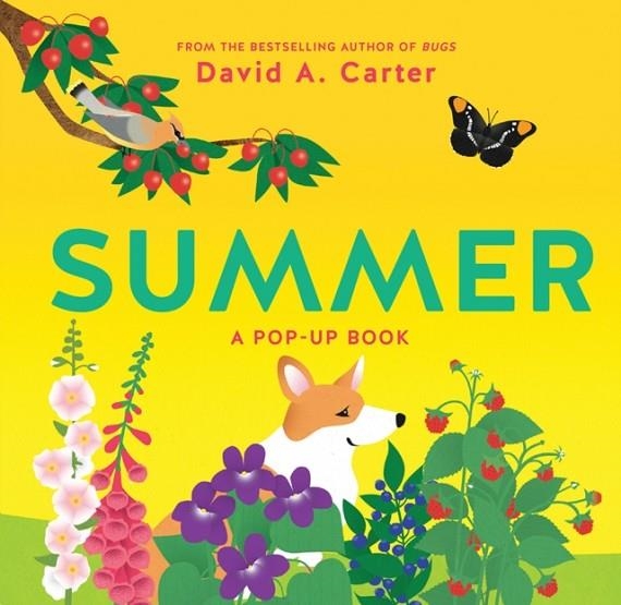 SUMMER | 9781419728327 | DAVID CARTER