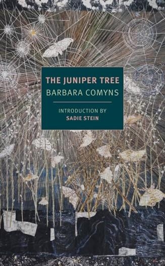 THE JUNIPER TREE | 9781681371313 | BARBARA COMYNS